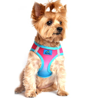 
              American River Choke Free Dog Harness Ombre Collection - Sugar Plum
            