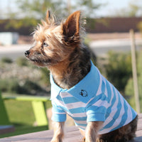 
              Striped Dog Polo - Blue Niagara and White
            