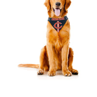 NFL Bandana - Bears