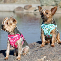 
              Wrap and Snap Choke Free Dog Harness by Doggie Design - Pink Hibiscus
            