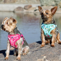 Wrap and Snap Choke Free Dog Harness by Doggie Design - Pink Hibiscus