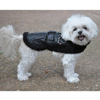 
              Top Dog Flight Harness Coat by Doggie Design - Black
            