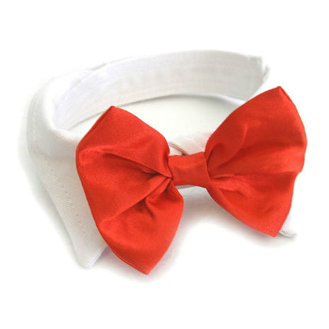 White Collar with Red Satin Bow Tie