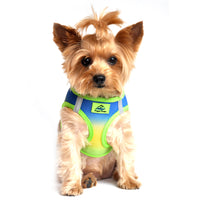 American River Choke Free Dog Harness Ombre Collection - Cobalt Sport