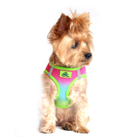 
              American River Choke Free Dog Harness Ombre Collection - Rainbow
            