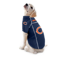 
              NFL Jersey - Bears
            