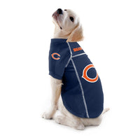 NFL Jersey - Bears