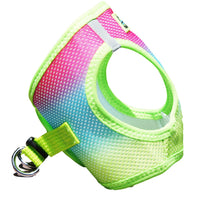 
              American River Choke Free Dog Harness Ombre Collection - Rainbow
            