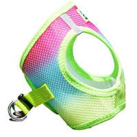 American River Choke Free Dog Harness Ombre Collection - Rainbow