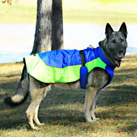 Alpine All-Weather Dog Coat - Blue and Green