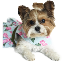 
              Pink Rose Harness Dress with Matching Leash
            