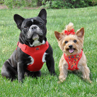 
              Wrap and Snap Choke Free Dog Harness by Doggie Design - Tahiti Red
            