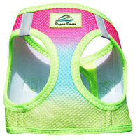 
              American River Choke Free Dog Harness Ombre Collection - Rainbow
            
