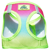 American River Choke Free Dog Harness Ombre Collection - Rainbow