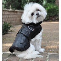Top Dog Flight Harness Coat by Doggie Design - Black