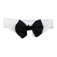 
              White Collar with Black Satin Bow Tie
            