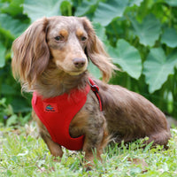 
              Wrap and Snap Choke Free Dog Harness by Doggie Design - Flame Red
            