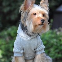 
              Flex-Fit Dog Hoodie - Gray
            
