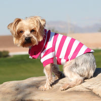 
              Striped Dog Polo - Pink Yarrow and White
            