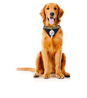 
              NFL Bandana - Steelers
            