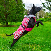 Alpine All-Weather Dog Coat - Raspberry Plaid
