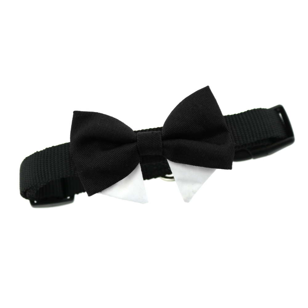 Universal Dog Bow Tie - Black with Starter Collar