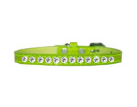
              One Row Clear Jewel Croc Dog Collar -Multiple Colors
            