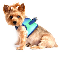 American River Choke Free Dog Harness Ombre Collection - Northern Lights