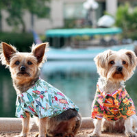
              Hawaiian Camp Shirt - Surfboards and Palms
            