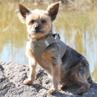 
              American River Solid Ultra Choke Free Mesh Dog Harness - Fossil Brown
            