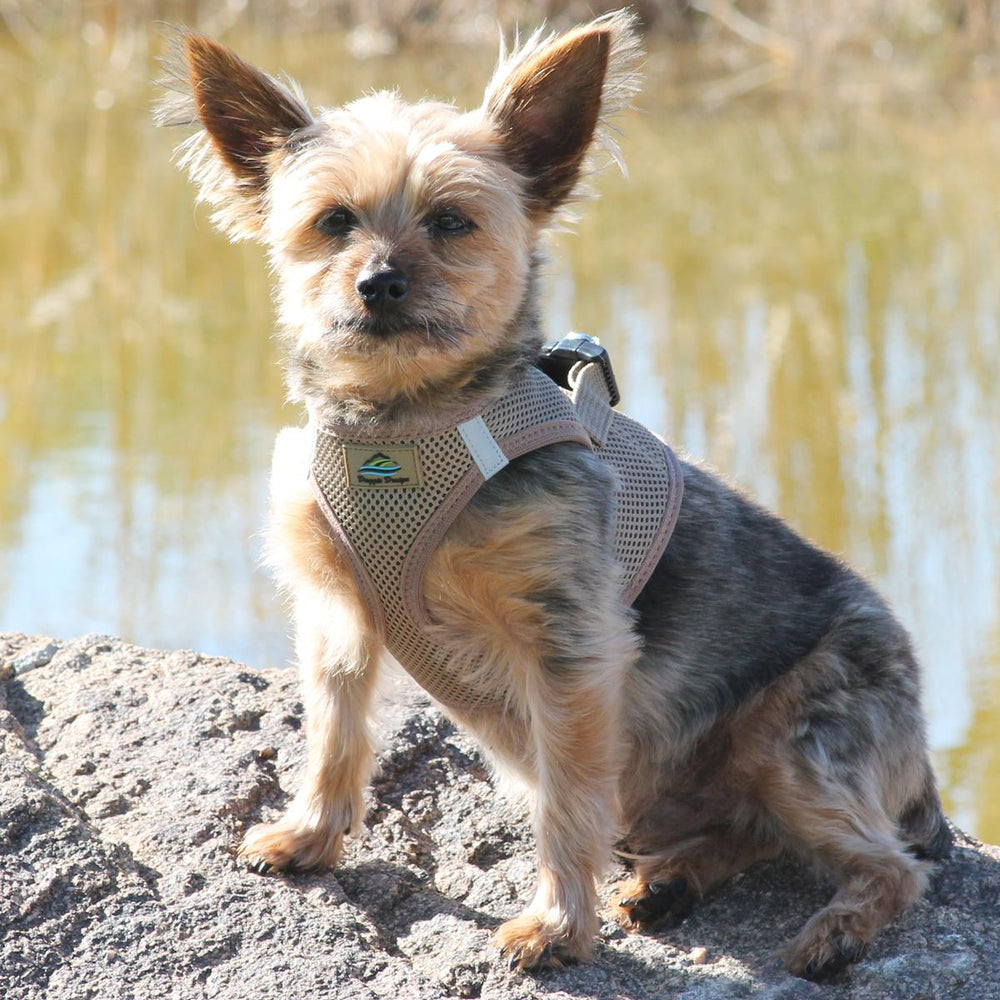 American River Solid Ultra Choke Free Mesh Dog Harness - Fossil Brown