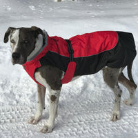 
              Alpine All-Weather Dog Coat - Red and Black
            