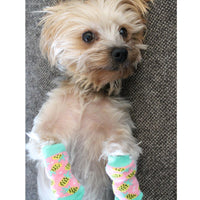 
              Non-Skid Dog Socks - Pink Pineapple
            