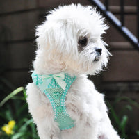 
              American River Choke Free Harness - Teal Polka Dot
            