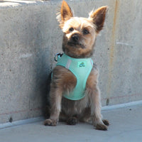 American River Solid Ultra Choke Free Mesh Dog Harness - Teal