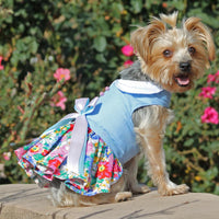 
              Blue and White Pastel Pearls Floral Dress with Matching Leash
            