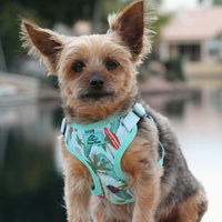 
              Wrap and Snap Choke Free Dog Harness by Doggie Design - Surfboards and Palms
            