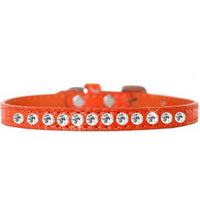 One Row Clear Jewel Croc Dog Collar -Multiple Colors