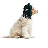 NFL Knit Hat - Eagles