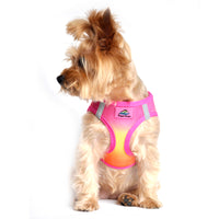 
              American River Choke Free Dog Harness Ombre Collection - Raspberry Pink and Orange
            