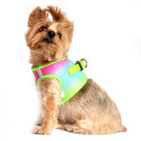 American River Choke Free Dog Harness Ombre Collection - Rainbow