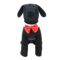 
              White Collar with Red Satin Bow Tie
            