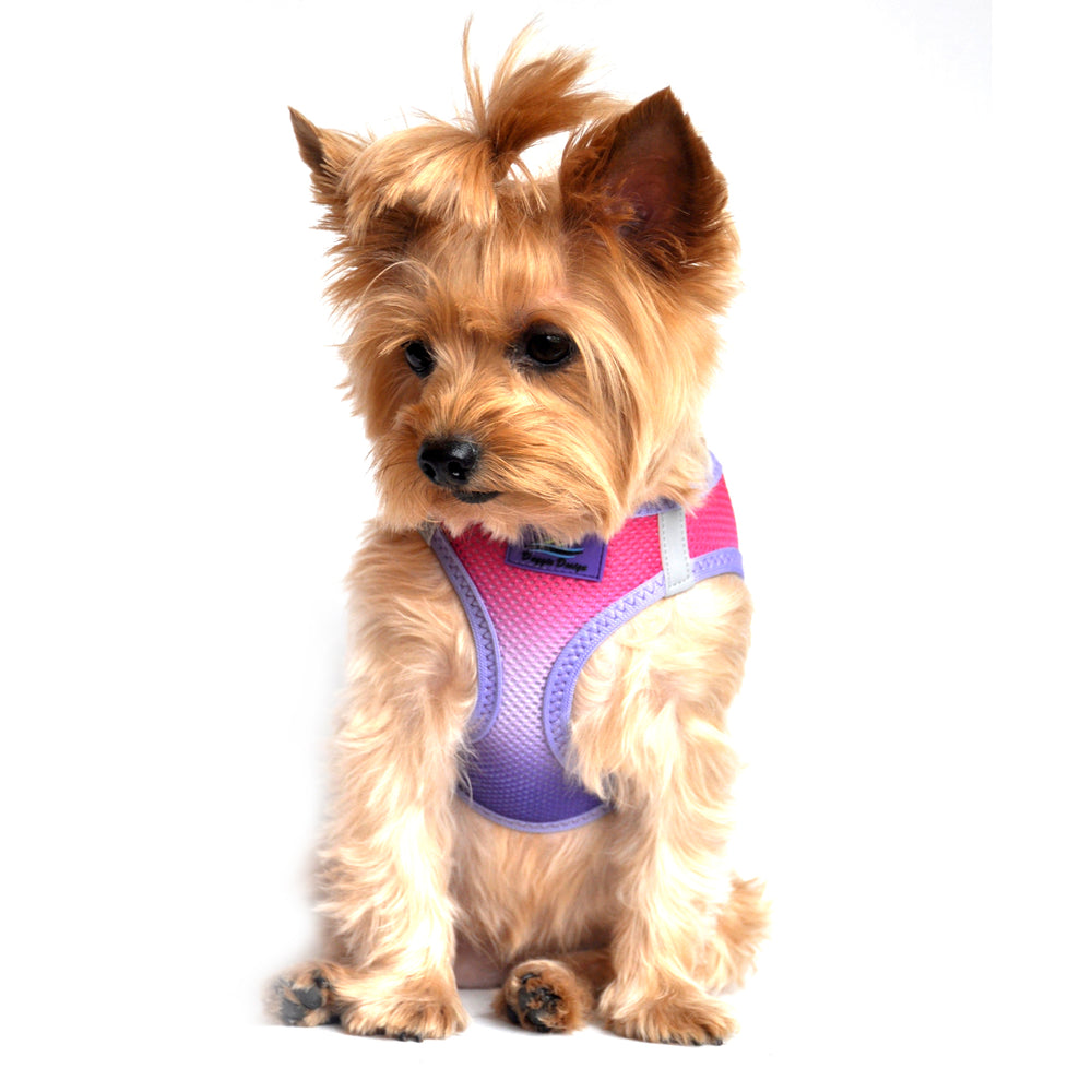 American River Choke Free Dog Harness Ombre Collection - Raspberry Sundae