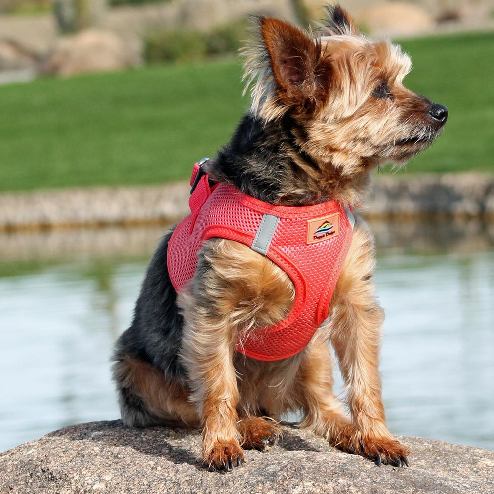 American River Solid Ultra Choke Free Mesh Dog Harness - Coral