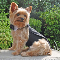 
              Black Dog Harness Tuxedo w/Tails, Bow Tie, and Cotton Collar
            