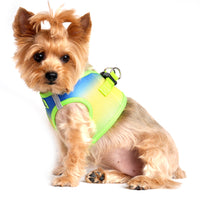 
              American River Choke Free Dog Harness Ombre Collection - Cobalt Sport
            