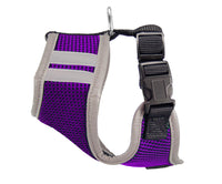 
              NFL Harness Vest-Minnesota Vikings
            