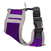 NFL Harness Vest-Minnesota Vikings