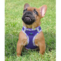 
              American River Choke Free Harness Hawaiian Trim - Paisley Purple
            
