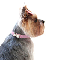 
              Pink Bow Collar
            